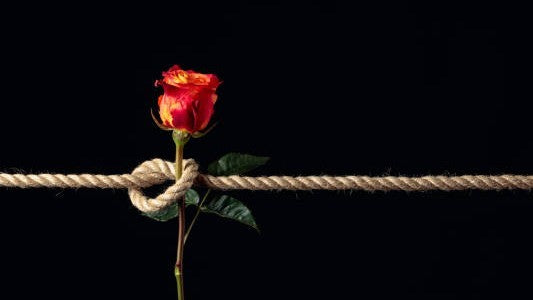 Knotty Desires Bondage Rope with a Rose.